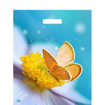 Мешок ПВД (выр.руч) 450*380 (60мкр) Мгновения